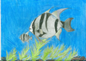 3rd Place, DJ Thomas, Age 11, Thomas Cario Middle School, Teacher: Stefani Timmerman